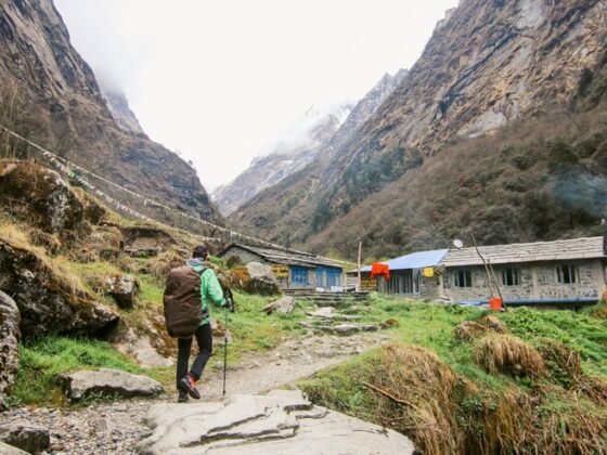 Ghorepani Poon Hill